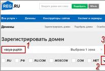 Регистрация ООО: самая полная инструкция
